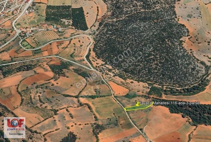 Lobby Fortis'ten Tavas Kayaca'da 1.892 M2 Satılık Hobi Bahçesi - Görsel 21