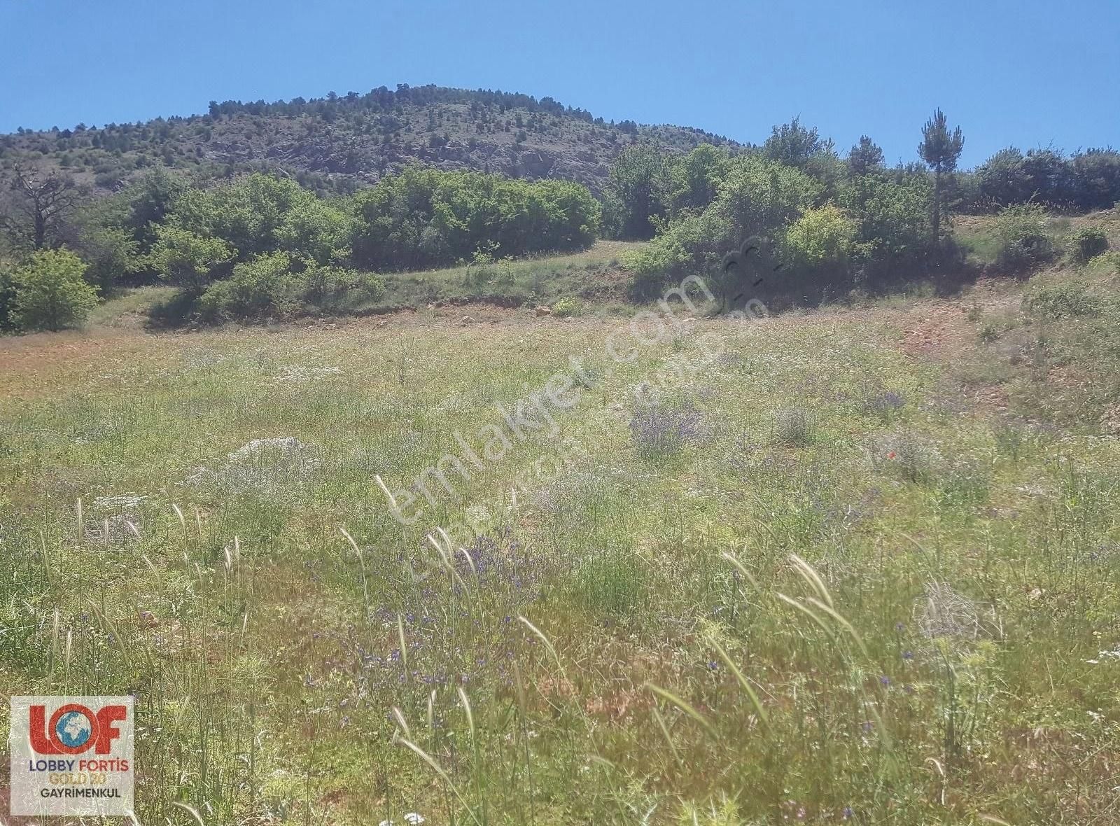 Lobby Fortisten Çameli Güzelyurt'ta Satılık 1.146m2 Fırsat Tarla - Görsel 11
