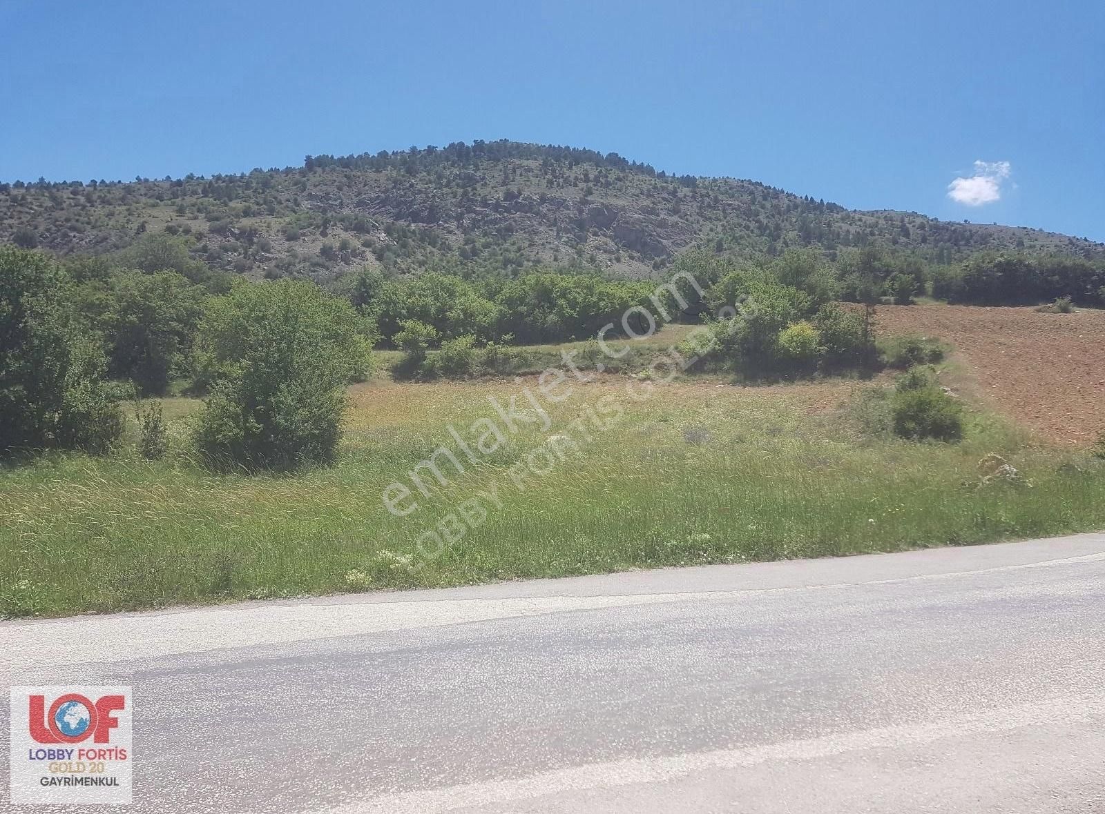Lobby Fortisten Çameli Güzelyurt'ta Satılık 1.146m2 Fırsat Tarla