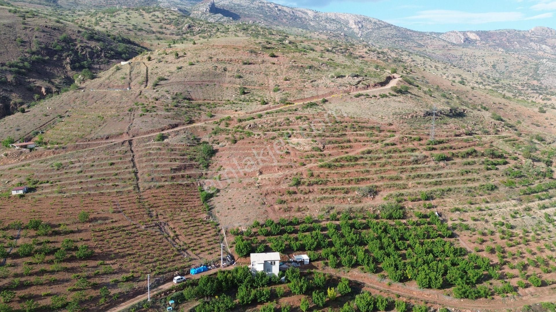 Hadim Aşağıeşenler De 602 M2 Müstakil Tapulu Arazi