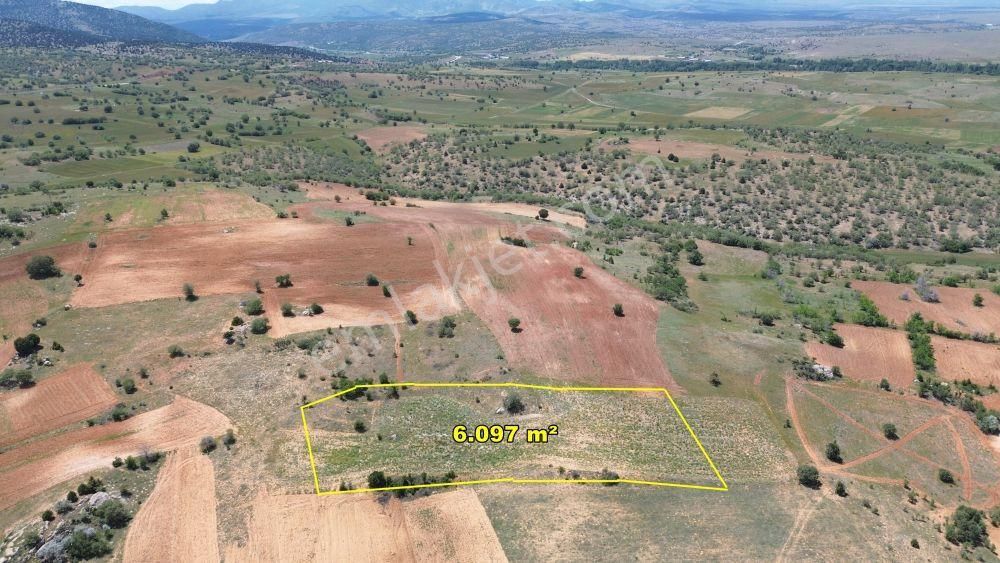 Konya / Akören / Tülce Mahallesinde 6.097 M² Müstakil Tapulu Tarla