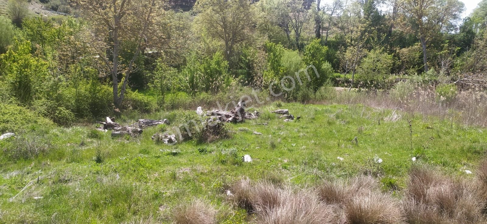 Asya Emlaktan Ağlasun Kum Mah De Satılık Fırsat Tarla - Görsel 3