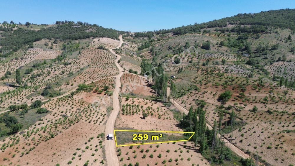 Konya / Bozkır / Hamzalar Da 259 M2 Müstakil Tapulu Bahçe