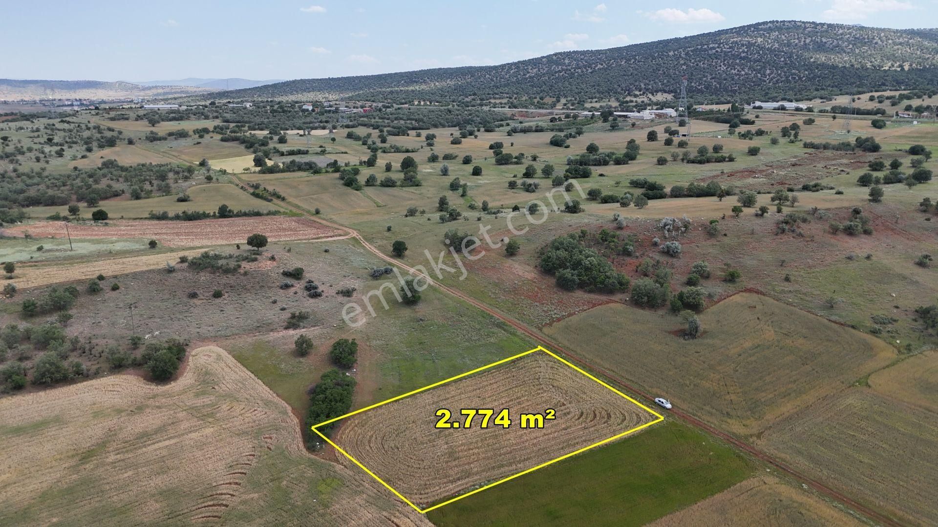 Konya / Akören / Tülce'de 2.774 M² Müstakil Tapu Tarım Arazisi