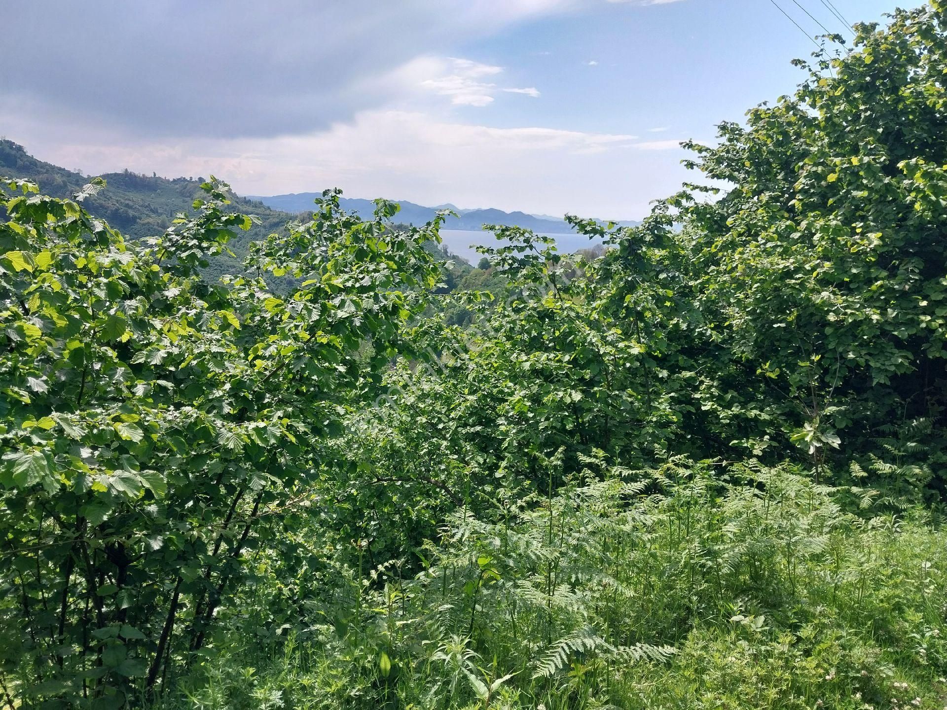 Yalıköy Mahallesi Karşıyaka Mevkiinde Satılık Arazi