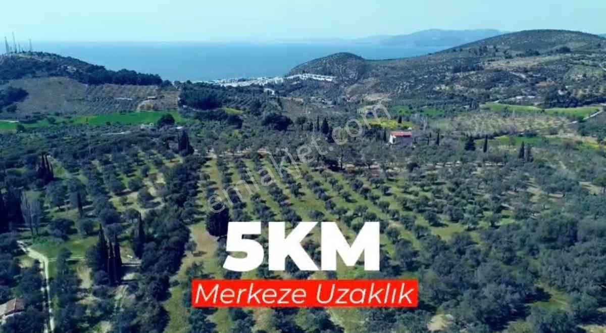 Kuşadası’nda Yatırıma Değer Fırsat! 12.746 M² Tarla Satılık
