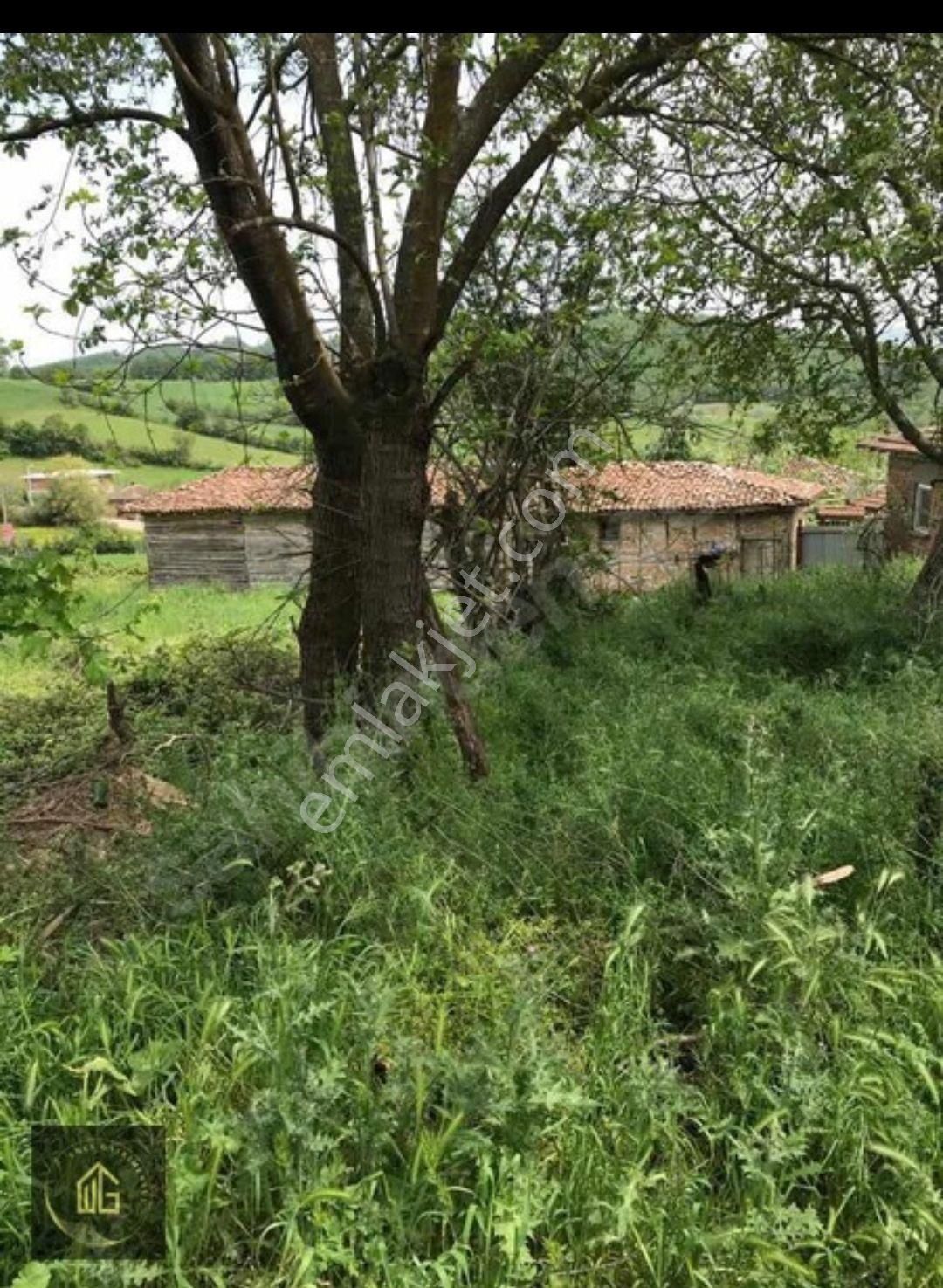 Bursa İli Mustafakemalpaşa İlçesi Dallıca Köyünde Arsa - Görsel 12