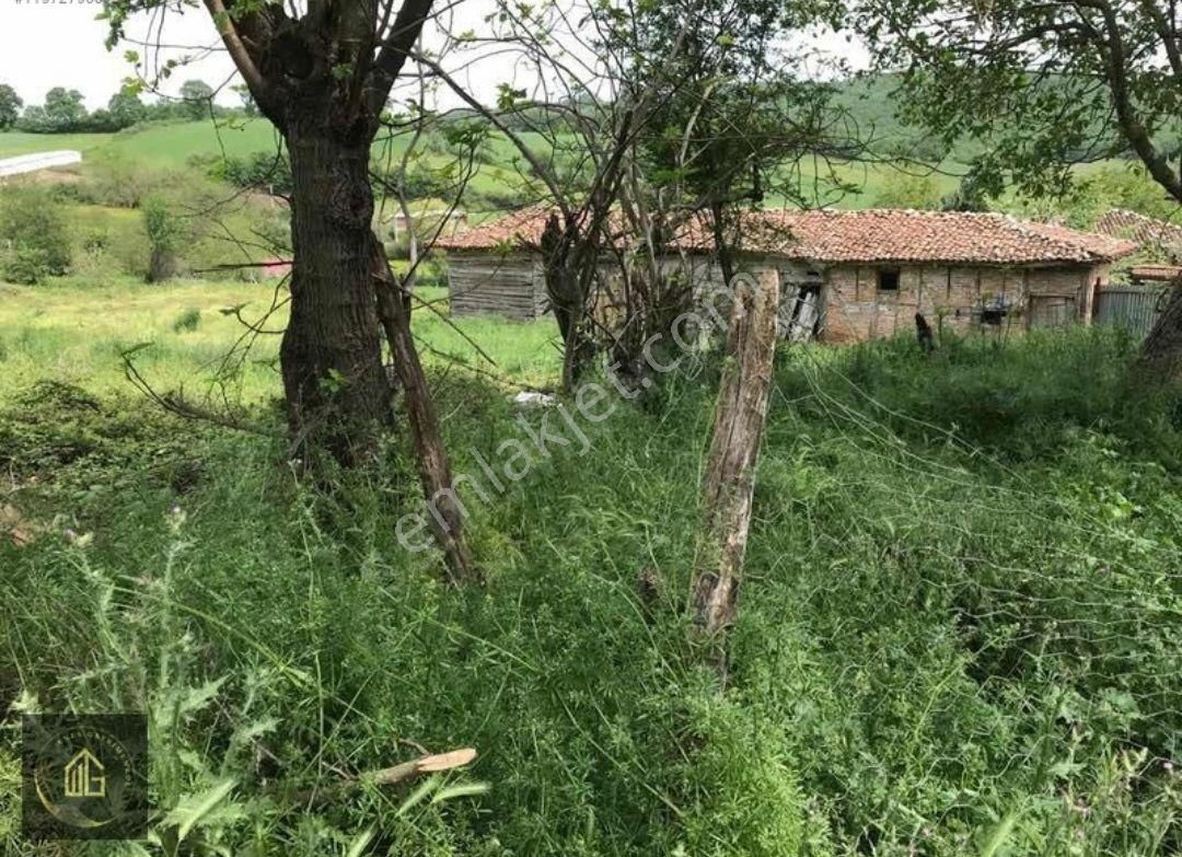 Bursa İli Mustafakemalpaşa İlçesi Dallıca Köyünde Arsa - Görsel 10