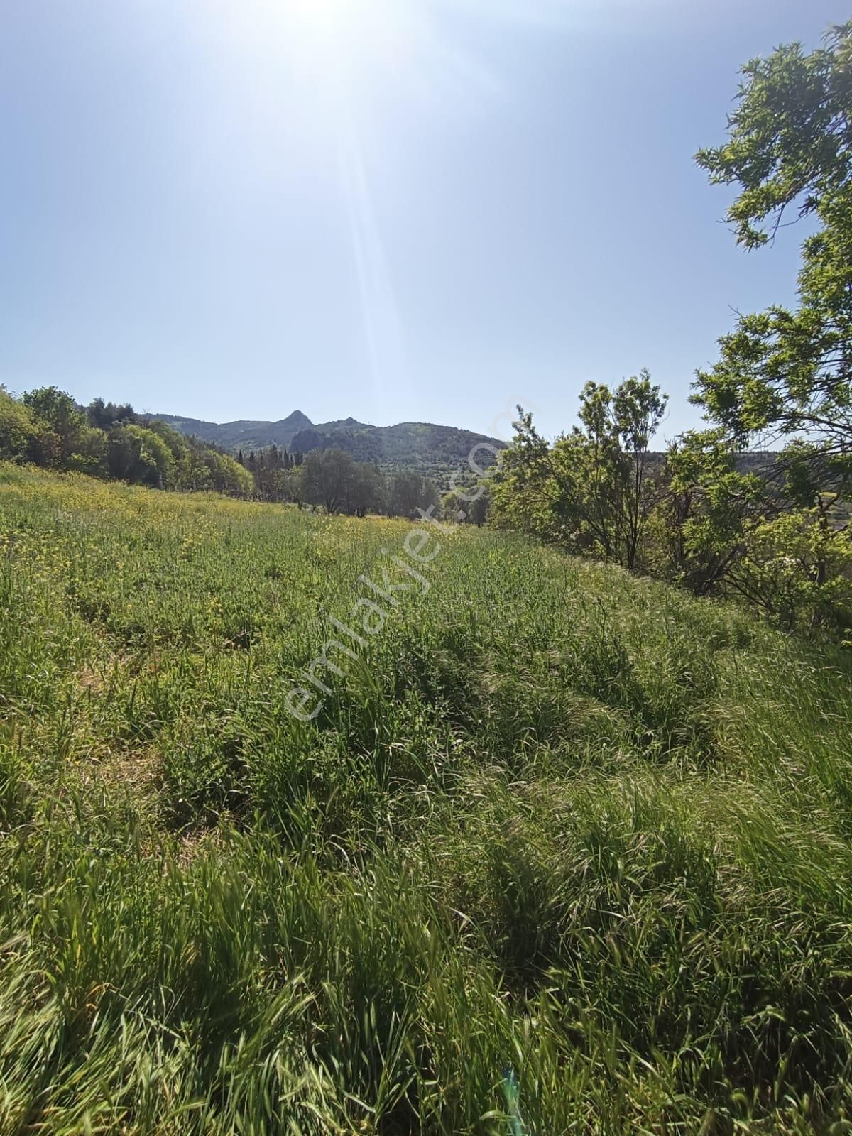 Sakarya-geyve-safibey De Doğa Manzaralı Yatırımlık Arazi - Görsel 6