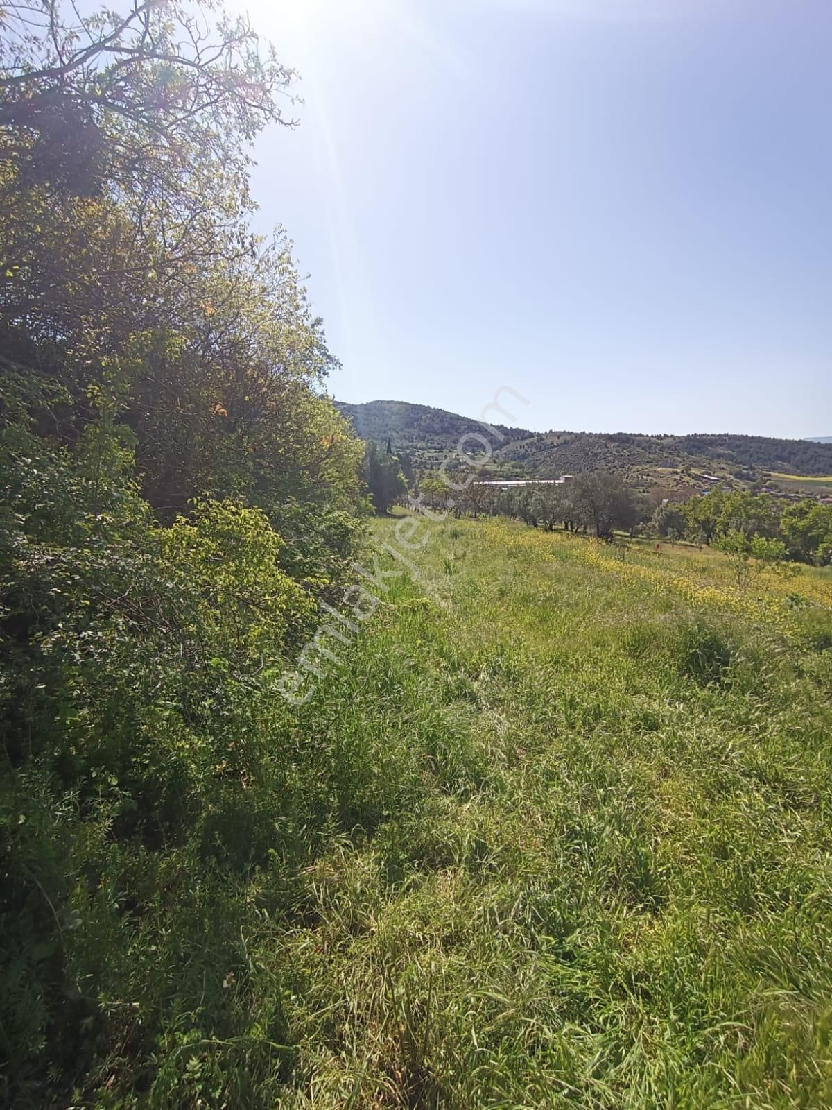 Sakarya-geyve-safibey De Doğa Manzaralı Yatırımlık Arazi - Görsel 7