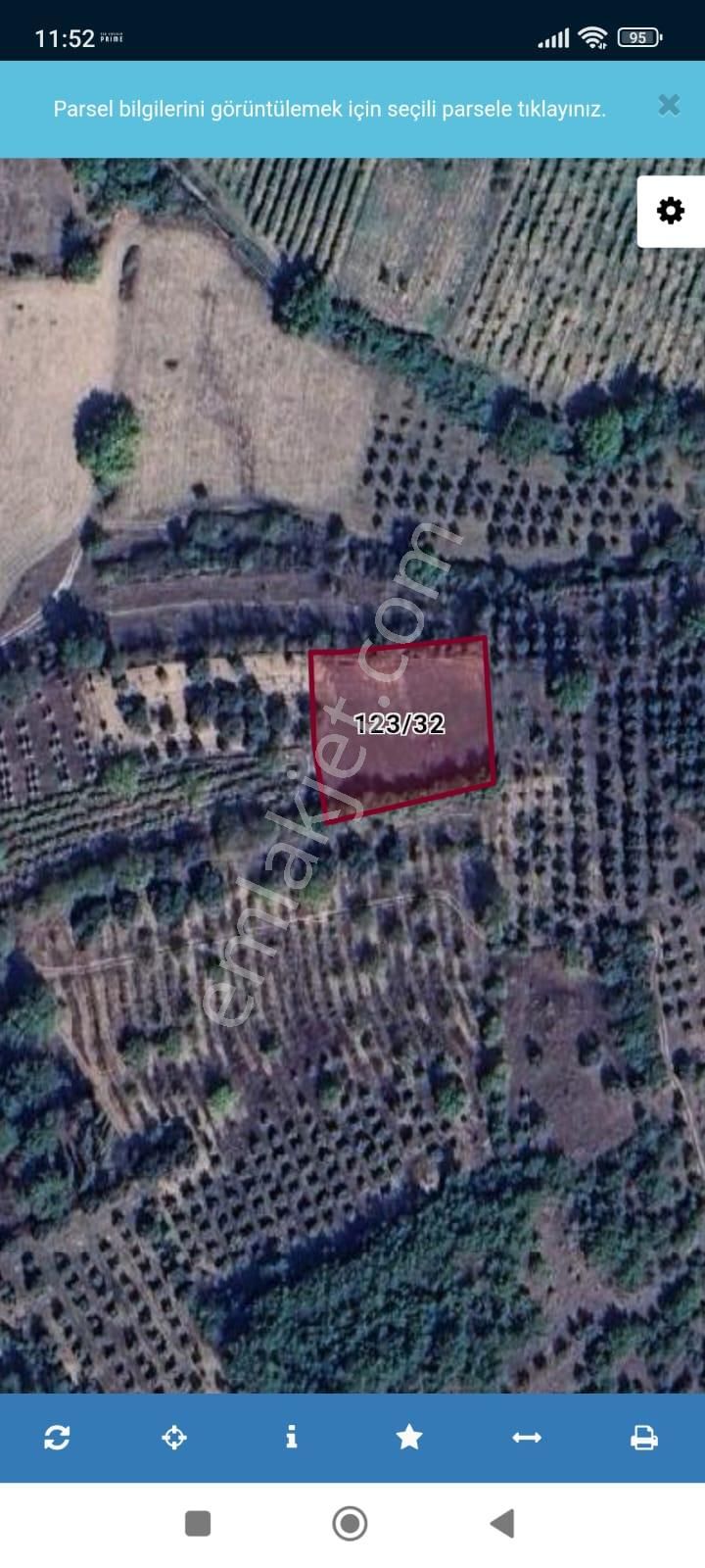 Sakarya-geyve-safibey De Doğa Manzaralı Yatırımlık Arazi - Görsel 9