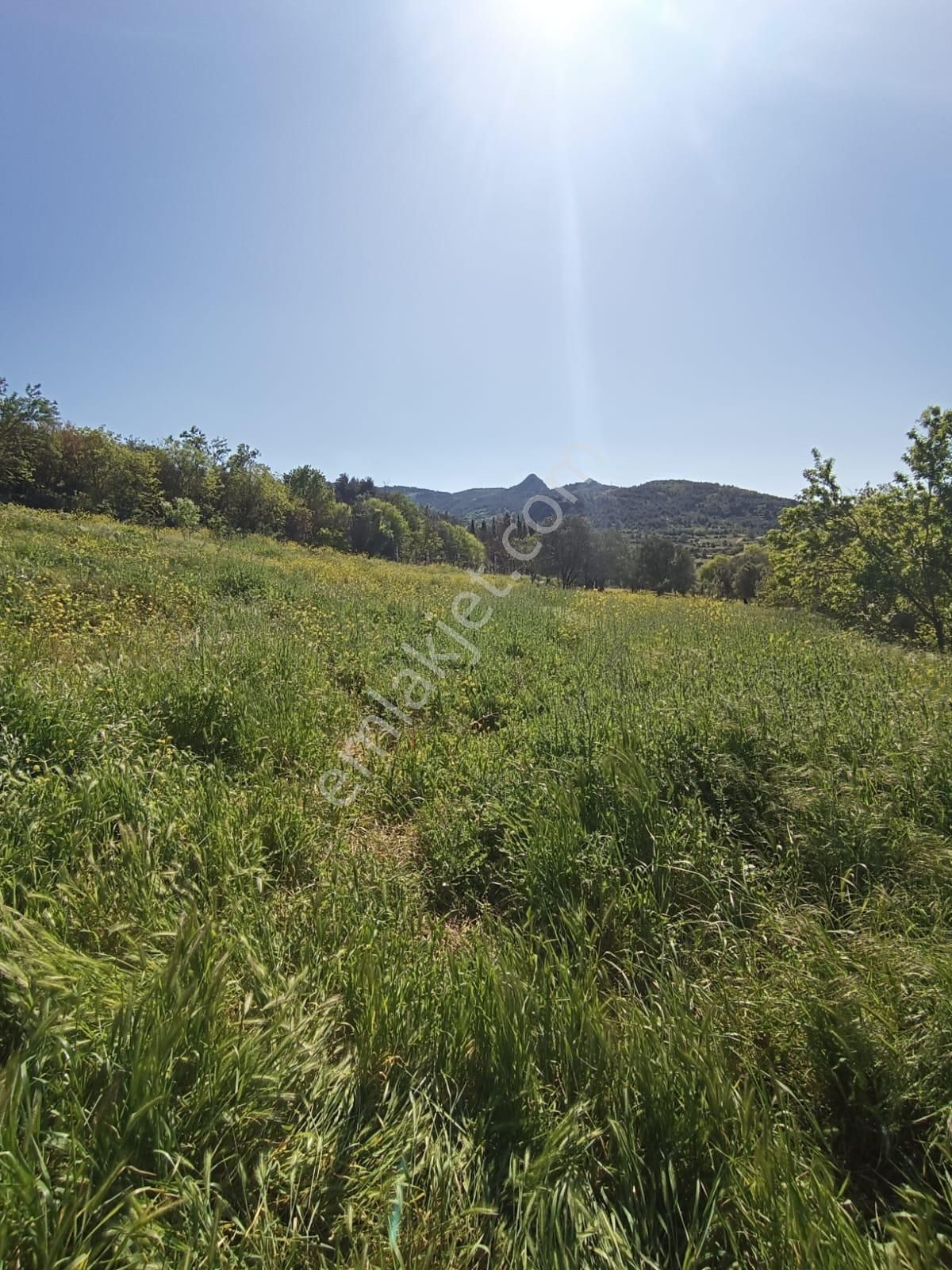 Sakarya-geyve-safibey De Doğa Manzaralı Yatırımlık Arazi - Görsel 5