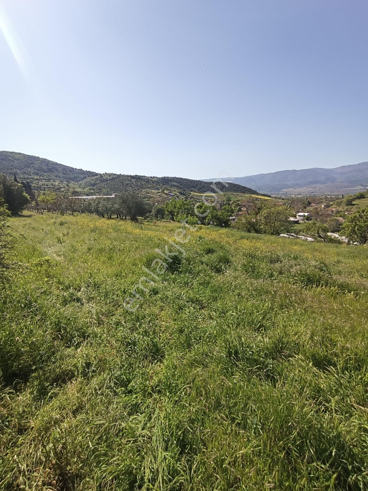 Sakarya-geyve-safibey De Doğa Manzaralı Yatırımlık Arazi - Görsel 4