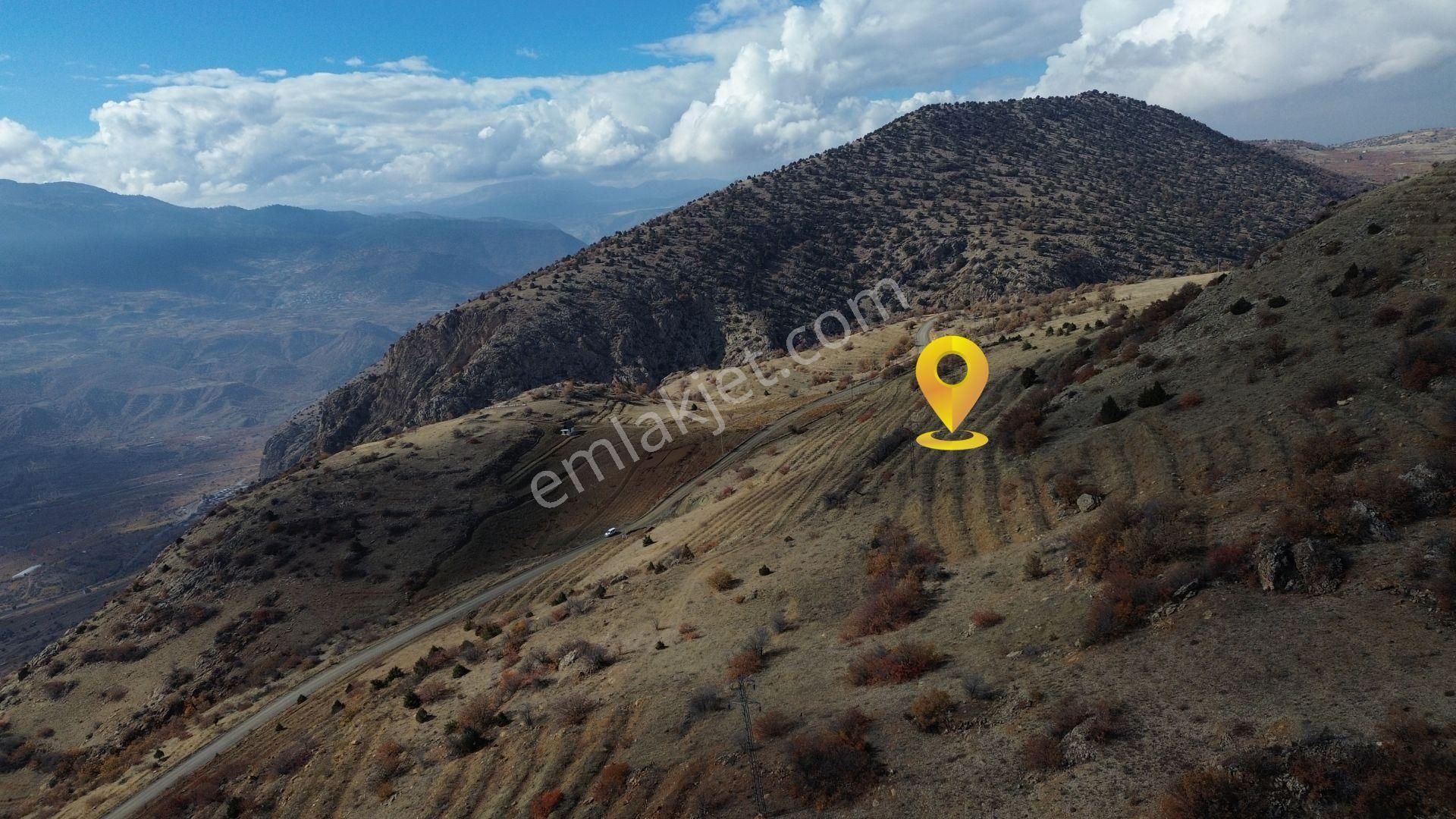 Konya / Hadim / Aşağıeşenler Mahallesinde 1.360 M² Müstakil Tapulu Bağ