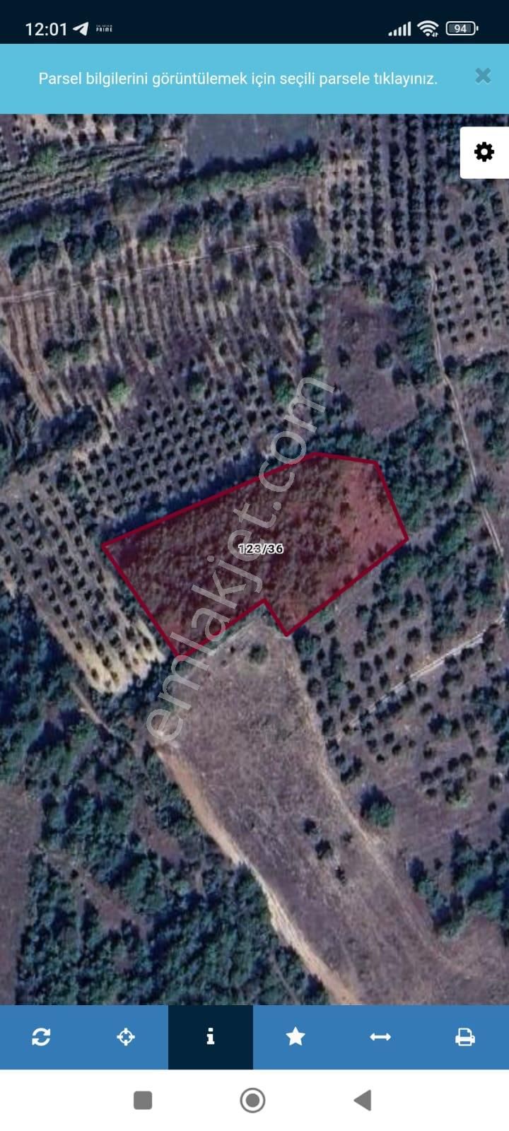 Sakarya-geyve-safibey De Yatırımlık Doğa Manzaralı Arazi - Görsel 11