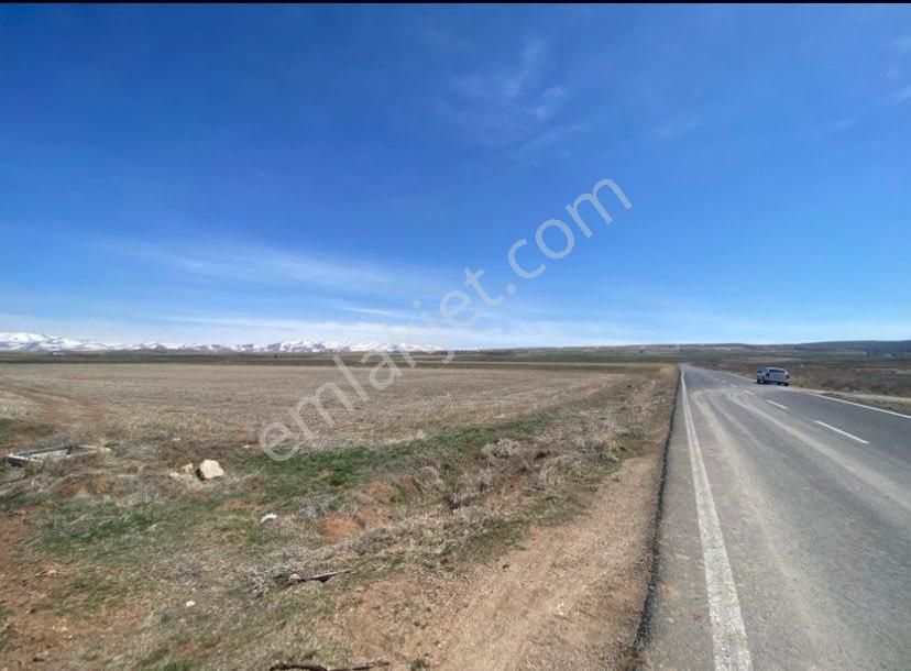 Niğde Bor Kemerhisar Havuzlu Yatırmlık Yola Sıfır