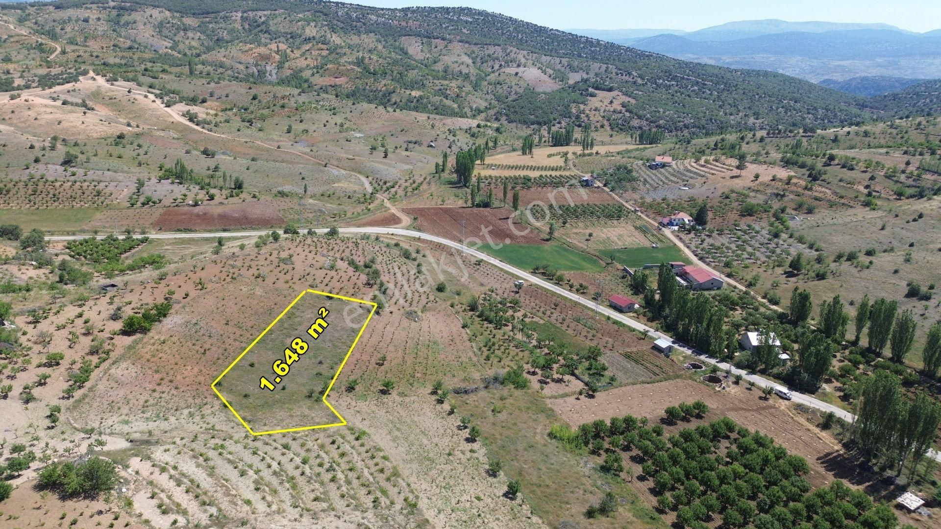 Bozkır Hamzalar Da 1.648 M2 Müstakil Tapulu Asfalt Yola Yakın Bahçe