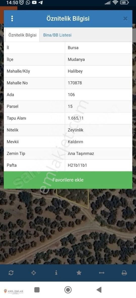 Anıl Emlak Tan Mudanya Trilye Halilbey 1665m2 Müstakil Zeytinlik