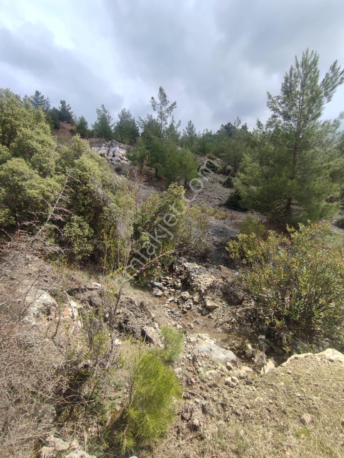 Araç Takasına Açık Acil Satılık Arsa Üçoluk Yaylası