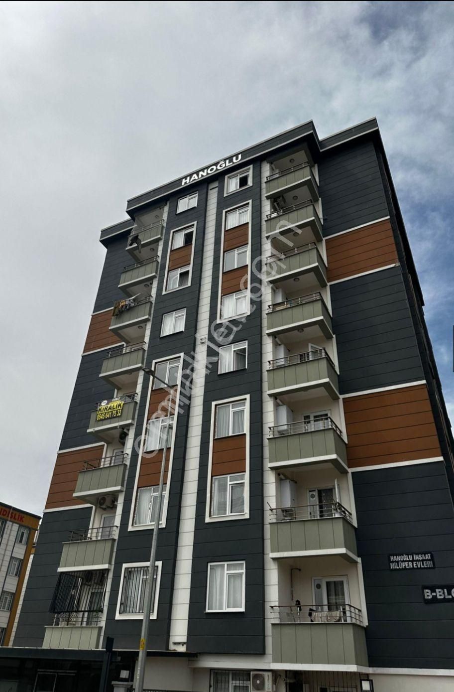 Sahibinden Kiralık Daire 2+1