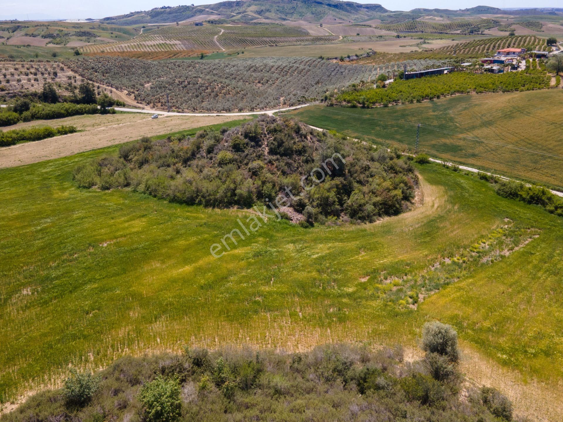 Adana Çukurova'da 46.628 M² Asfalt Kenarı Uygun Fiyatlı Arazi - Görsel 16