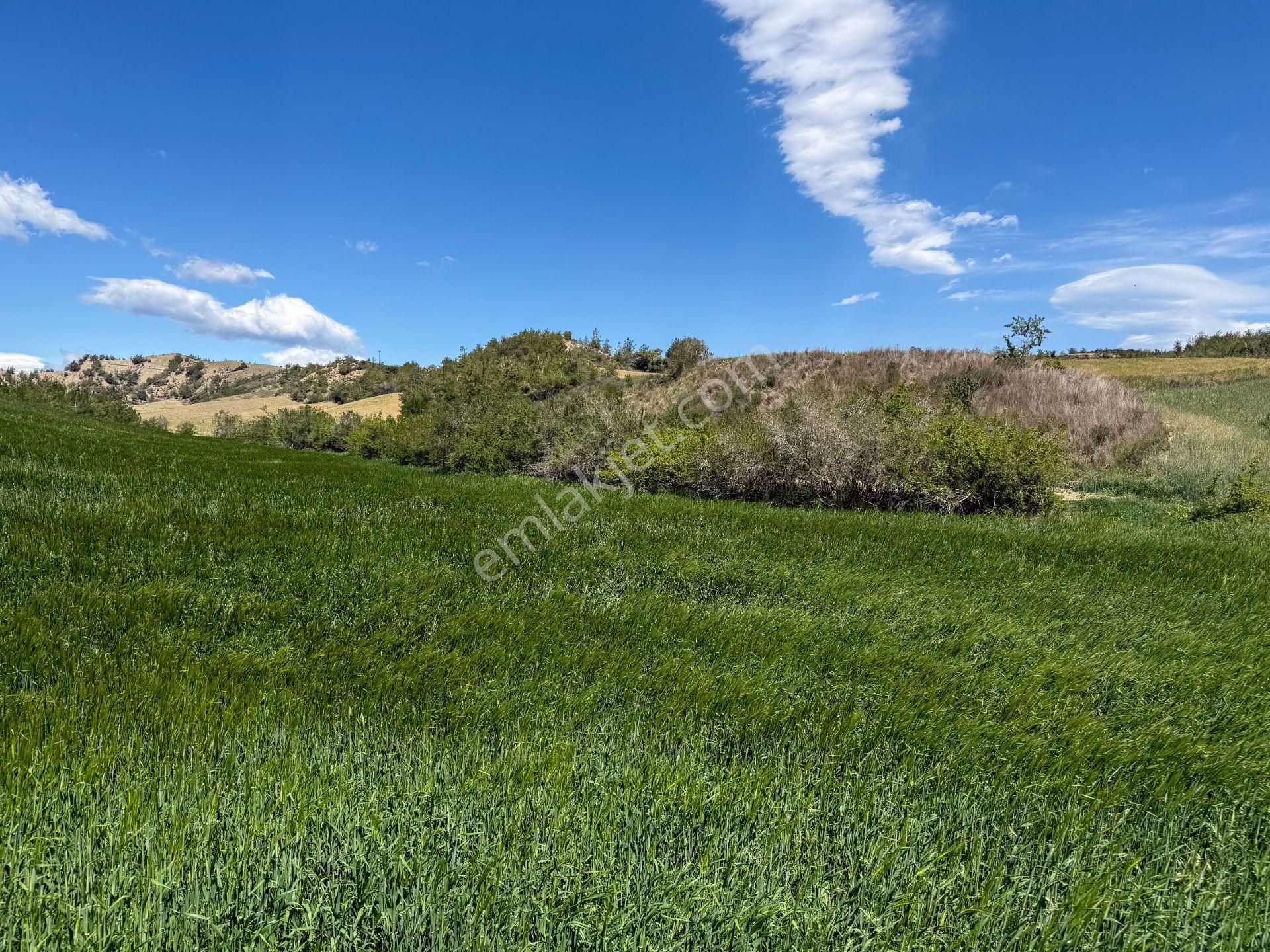 Adana Çukurova'da 46.628 M² Asfalt Kenarı Uygun Fiyatlı Arazi - Görsel 12