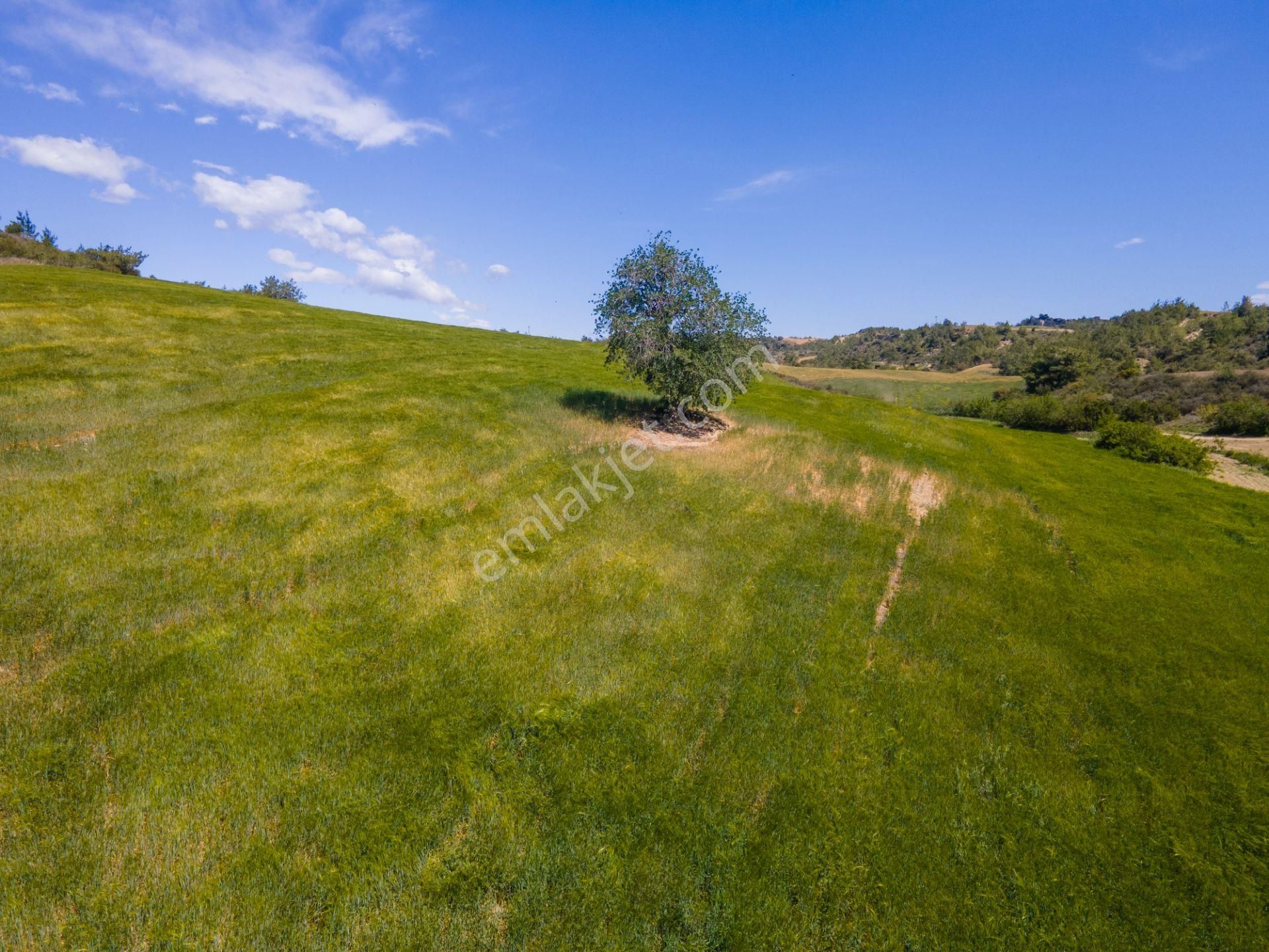 Adana Çukurova'da 46.628 M² Asfalt Kenarı Uygun Fiyatlı Arazi - Görsel 24