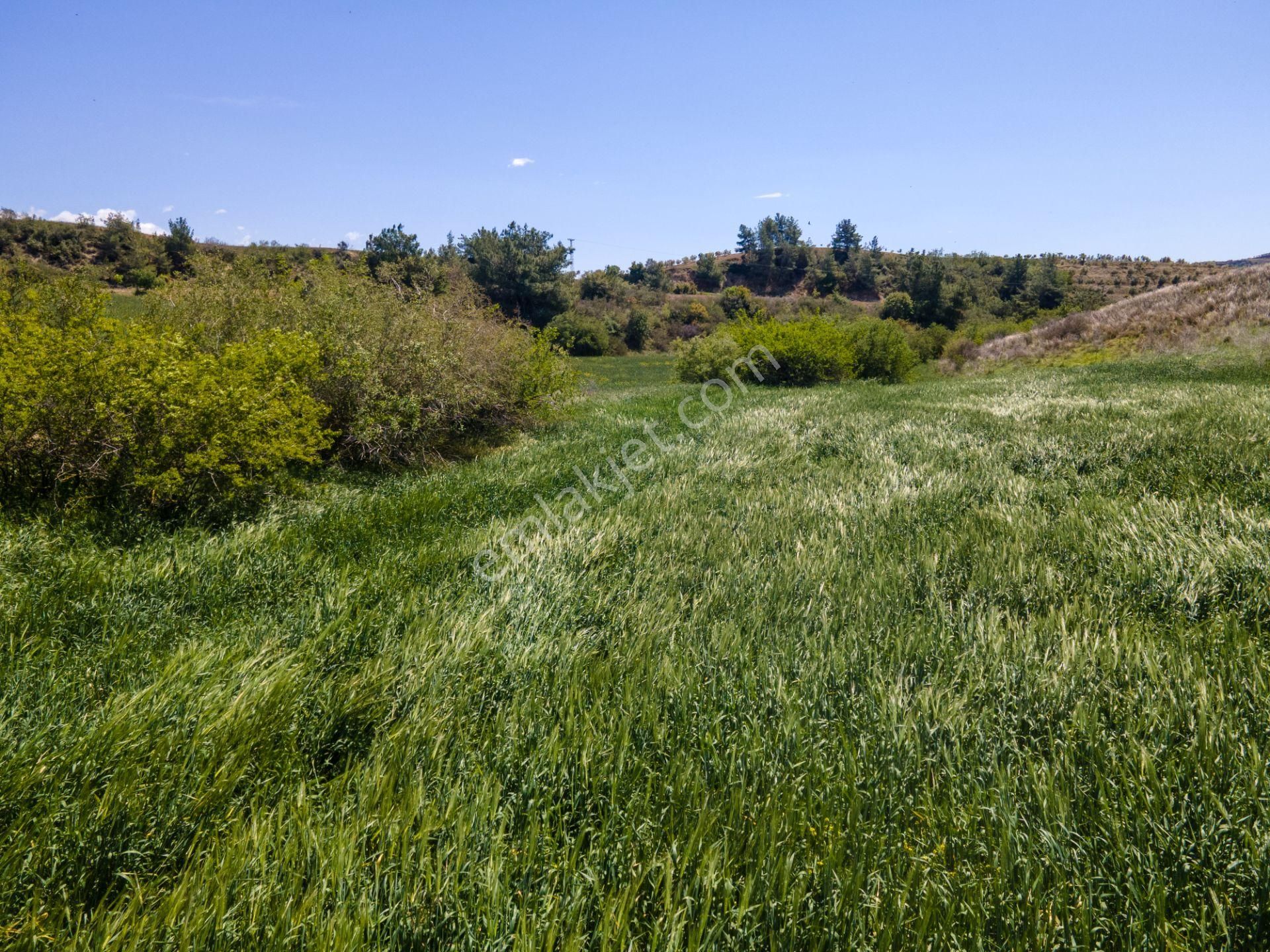 Adana Çukurova'da 46.628 M² Asfalt Kenarı Uygun Fiyatlı Arazi - Görsel 20