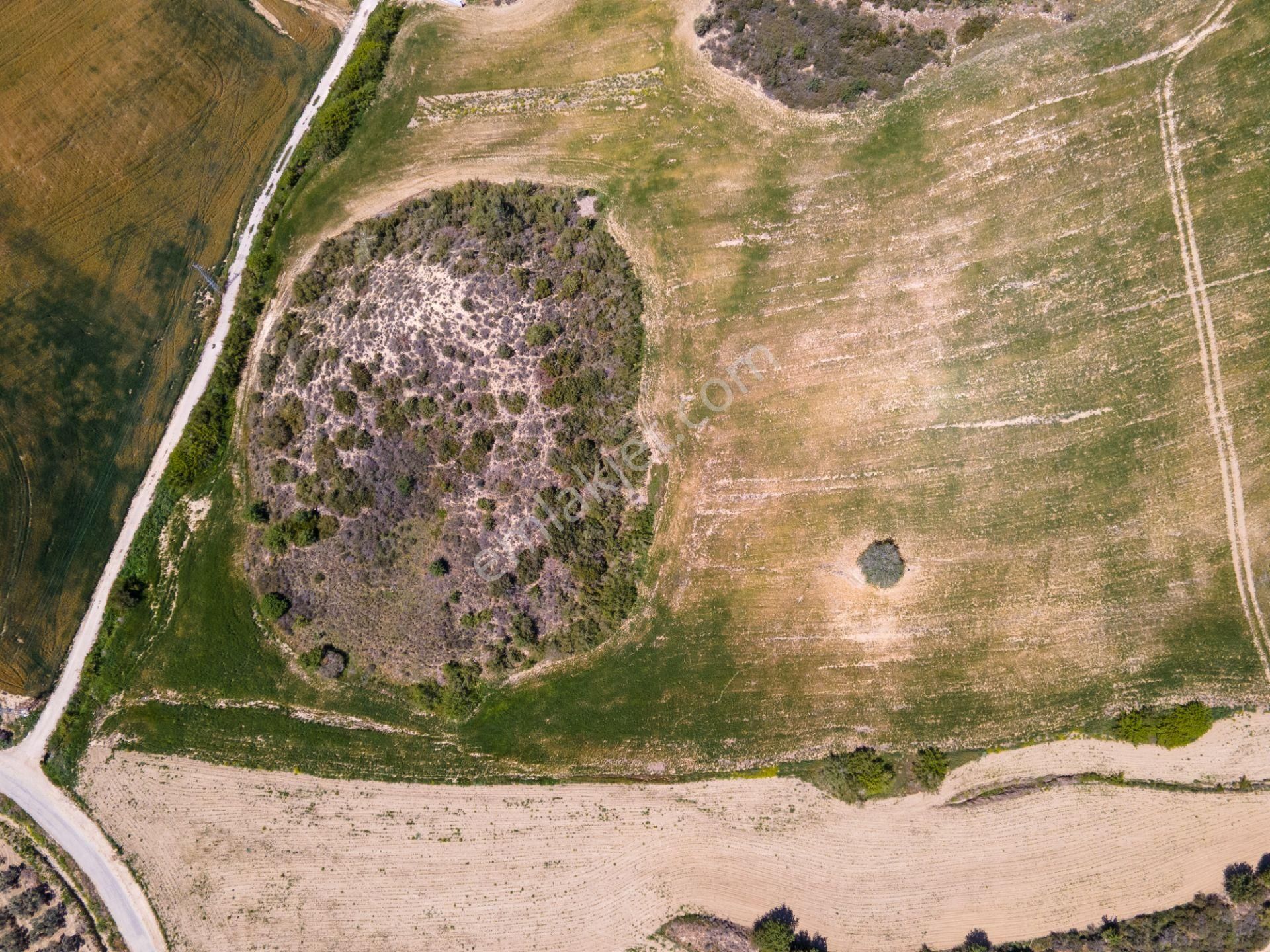 Adana Çukurova'da 46.628 M² Asfalt Kenarı Uygun Fiyatlı Arazi - Görsel 4