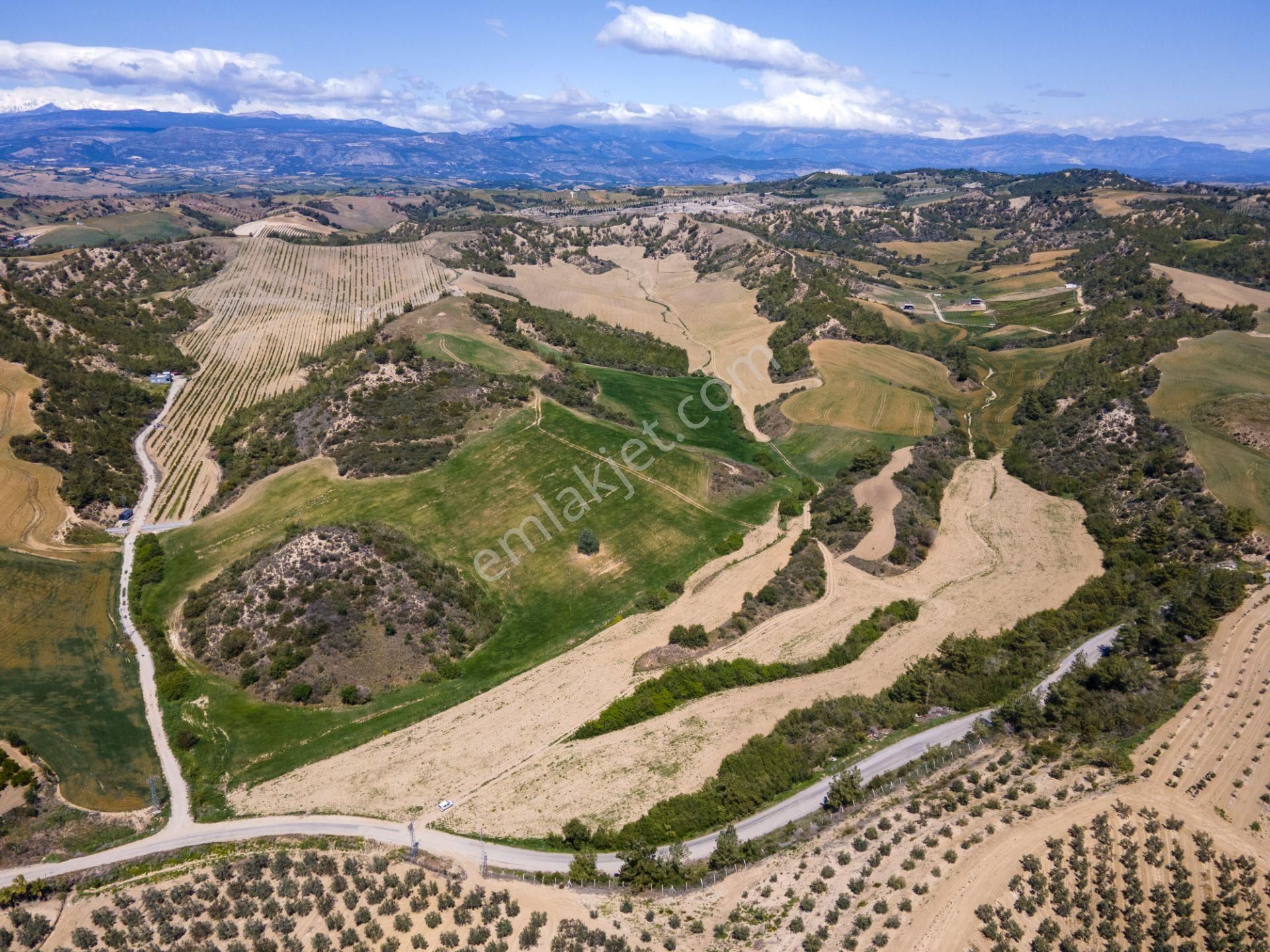 Adana Çukurova'da 46.628 M² Asfalt Kenarı Uygun Fiyatlı Arazi - Görsel 15