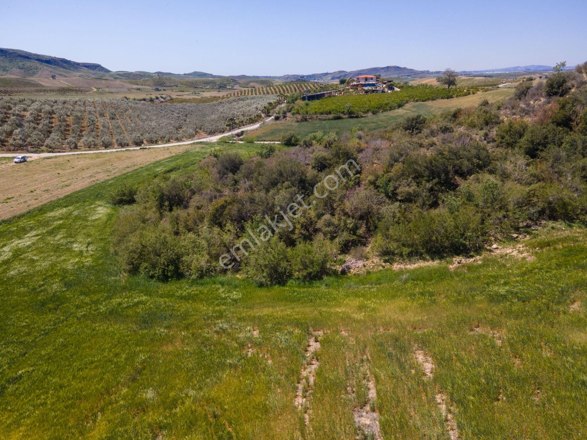 Adana Çukurova'da 46.628 M² Asfalt Kenarı Uygun Fiyatlı Arazi - Görsel 26