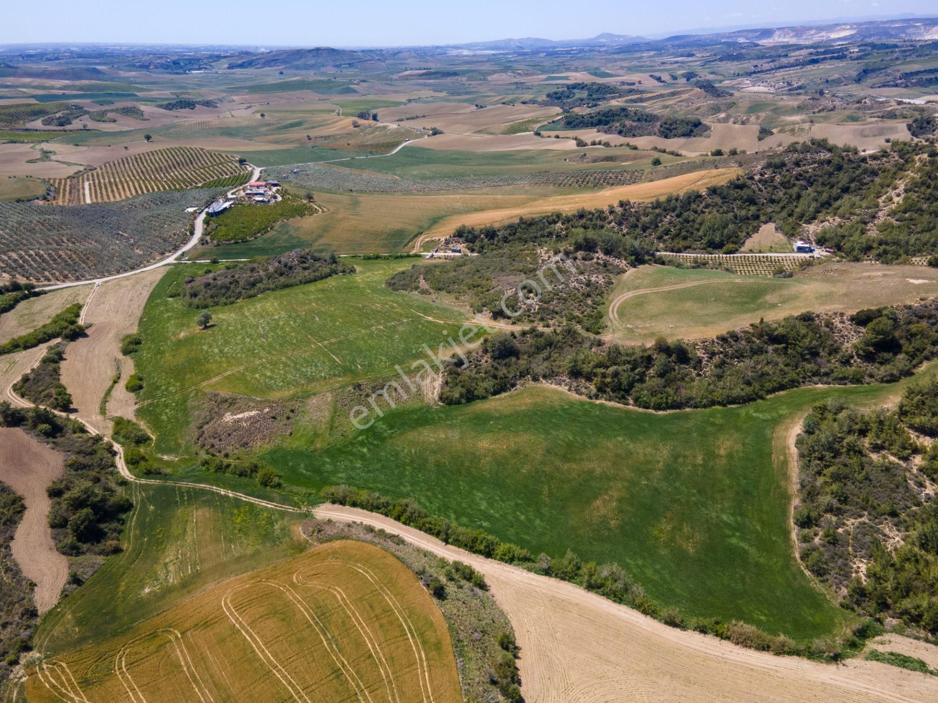 Adana Çukurova'da 46.628 M² Asfalt Kenarı Uygun Fiyatlı Arazi - Görsel 14