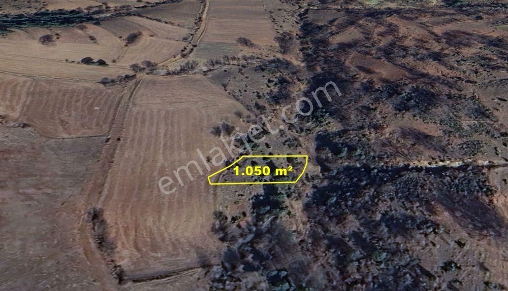 Konya / Doğanhisar / Kemer Mahallesinde 1.050 M² Müstakil Tapulu Tarla