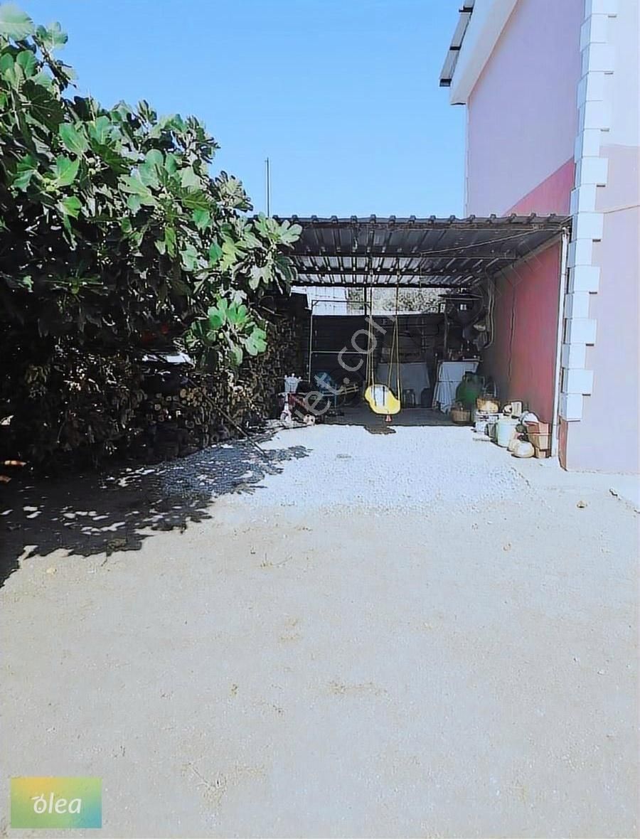 Milas Bafa Mahallesinde Toplam Alanı 742 M2 Olan Bina Ve Arsası - Görsel 3