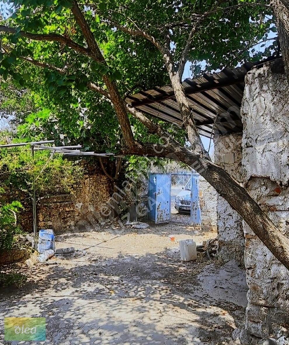 Taş Köy Evi Ve Arsası - Görsel 16