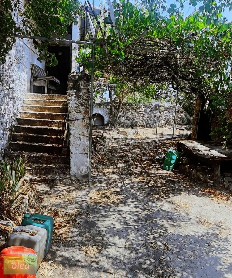 Taş Köy Evi Ve Arsası - Görsel 4