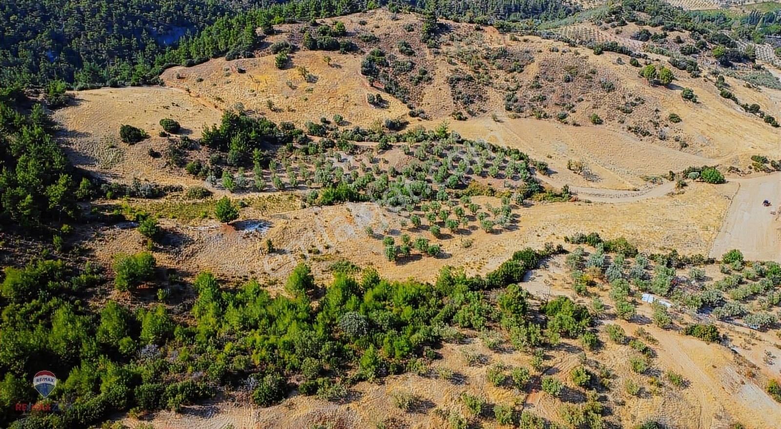 Turgutlu Çıkrıkçıda 20.767 M² Satılık Arazi