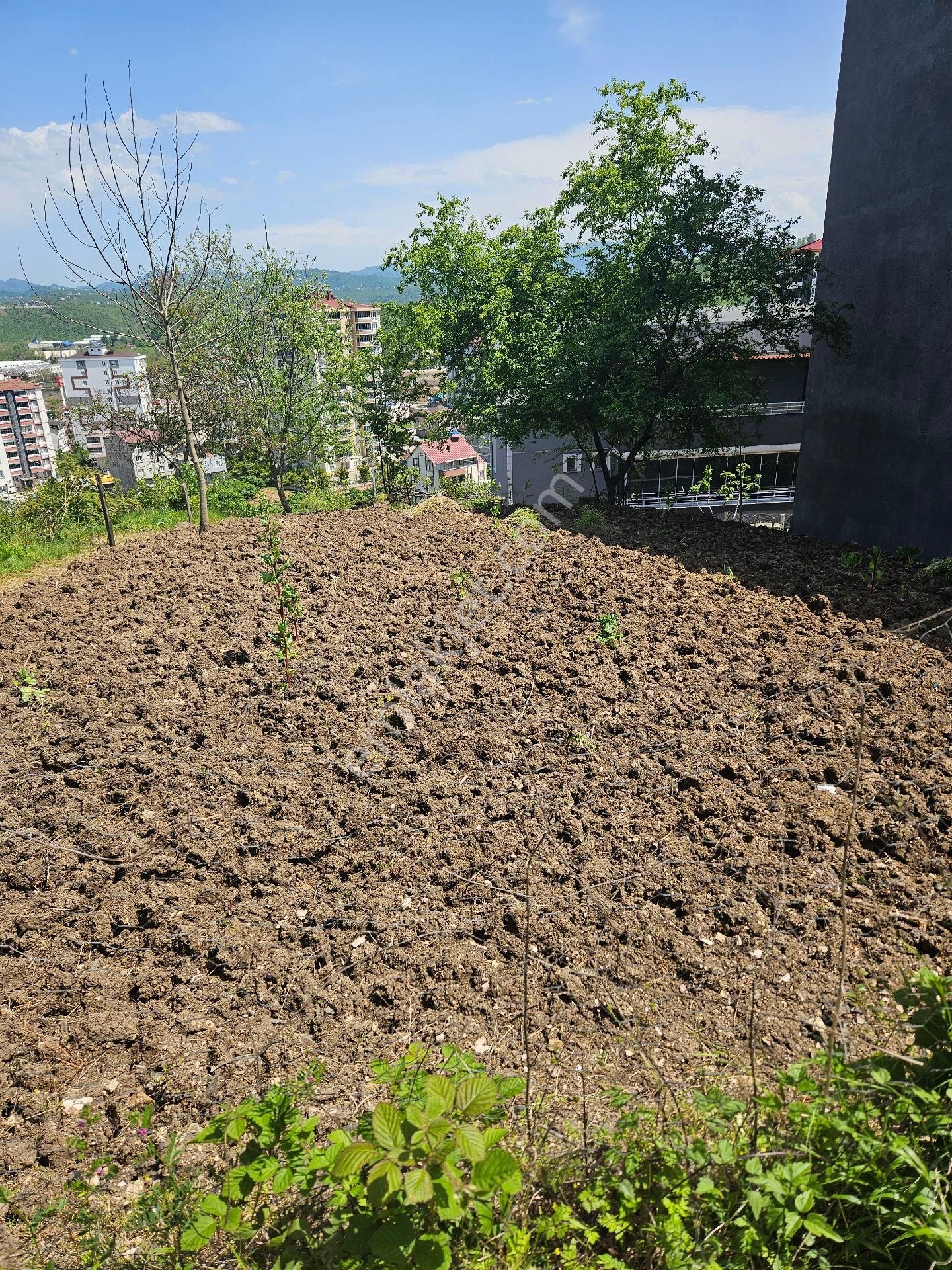 Murat Emlaktan Kurtuluş Mah.satılık Arsa