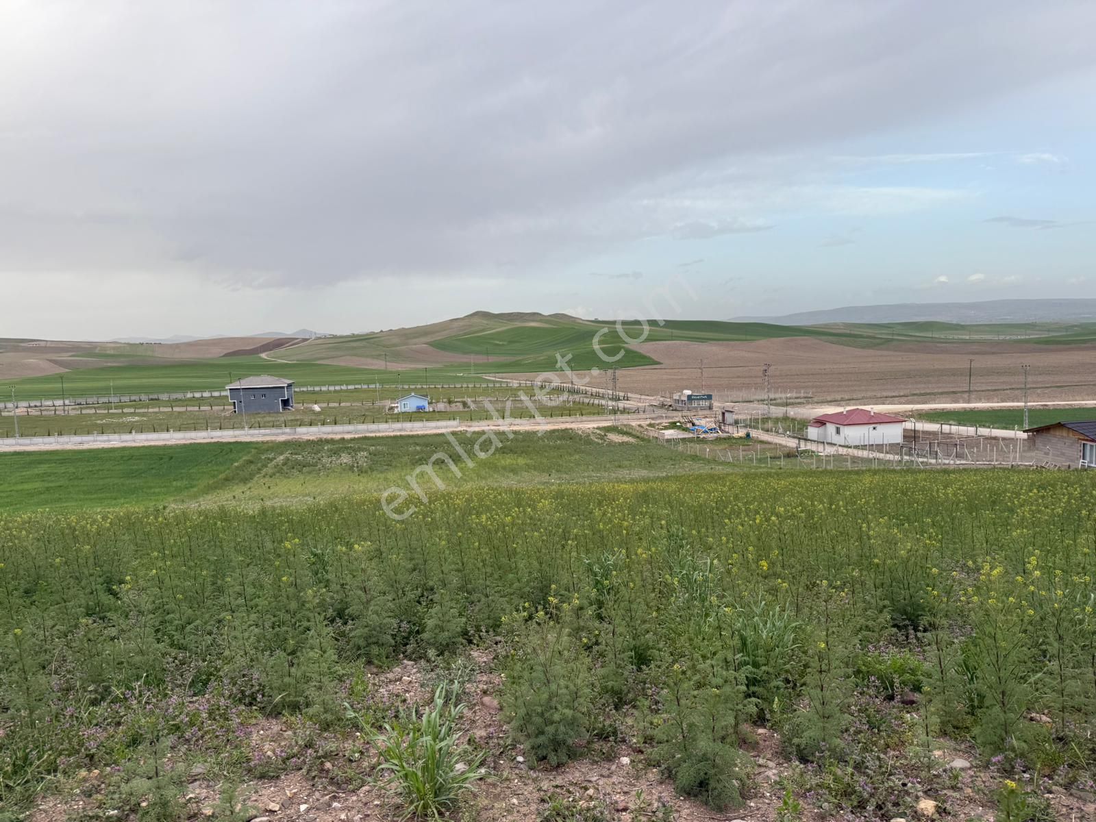 Çubuk Melikşah Mah. Yatırımlık 9.643 M² Tek Tapu Satılık Tarla