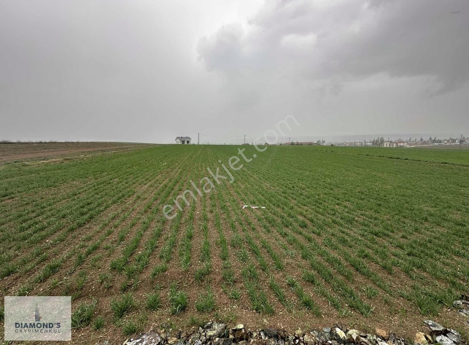 Dıamonds Dan 6300 M2 Konut İmarlı Satılık Arsa
