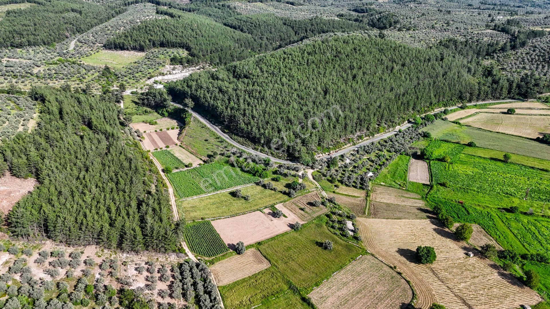 Milas Kuzyaka'da Ana Caddeye Sıfır Satılık Tarla - Görsel 12