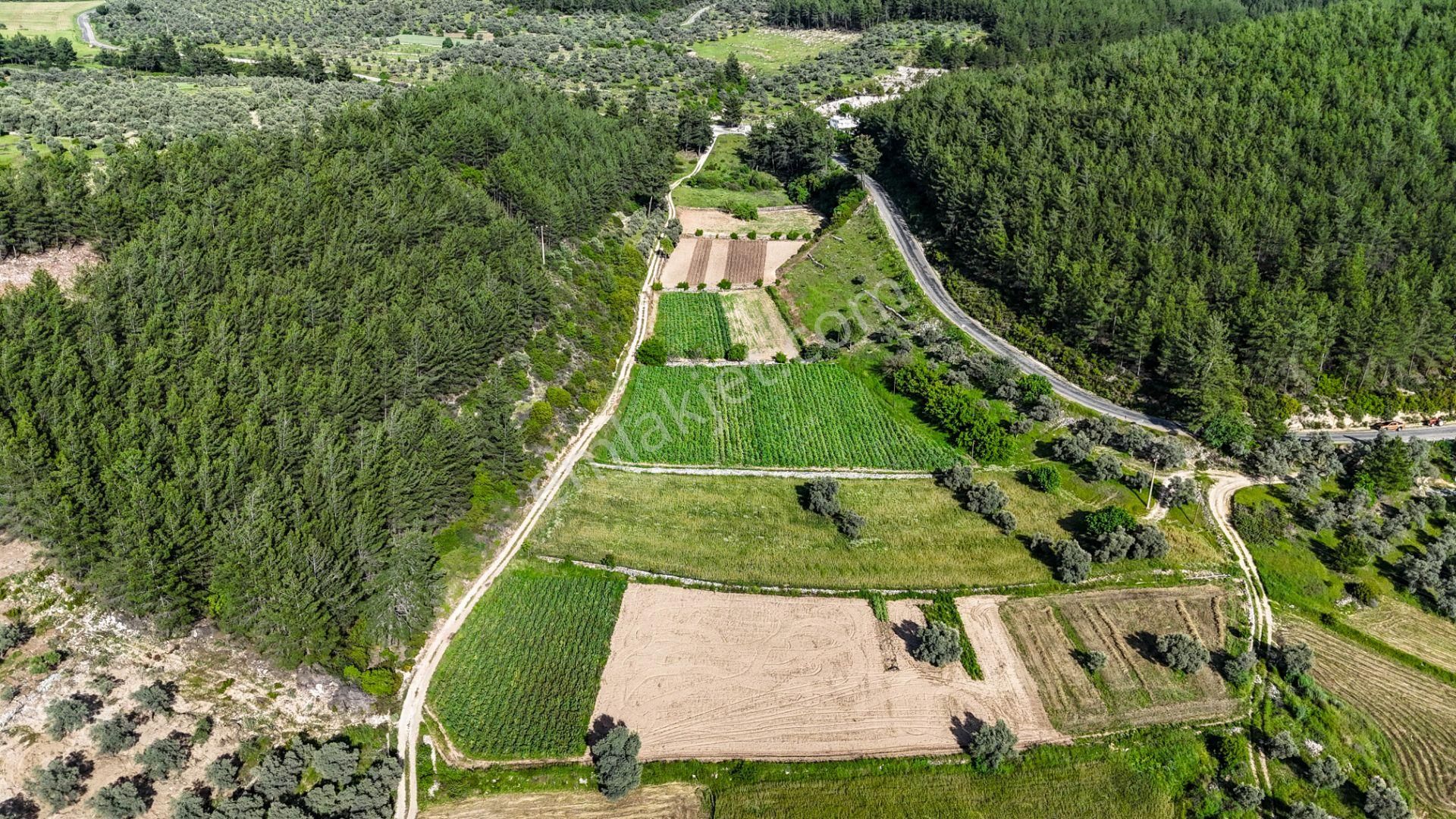 Milas Kuzyaka'da Ana Caddeye Sıfır Satılık Tarla - Görsel 9