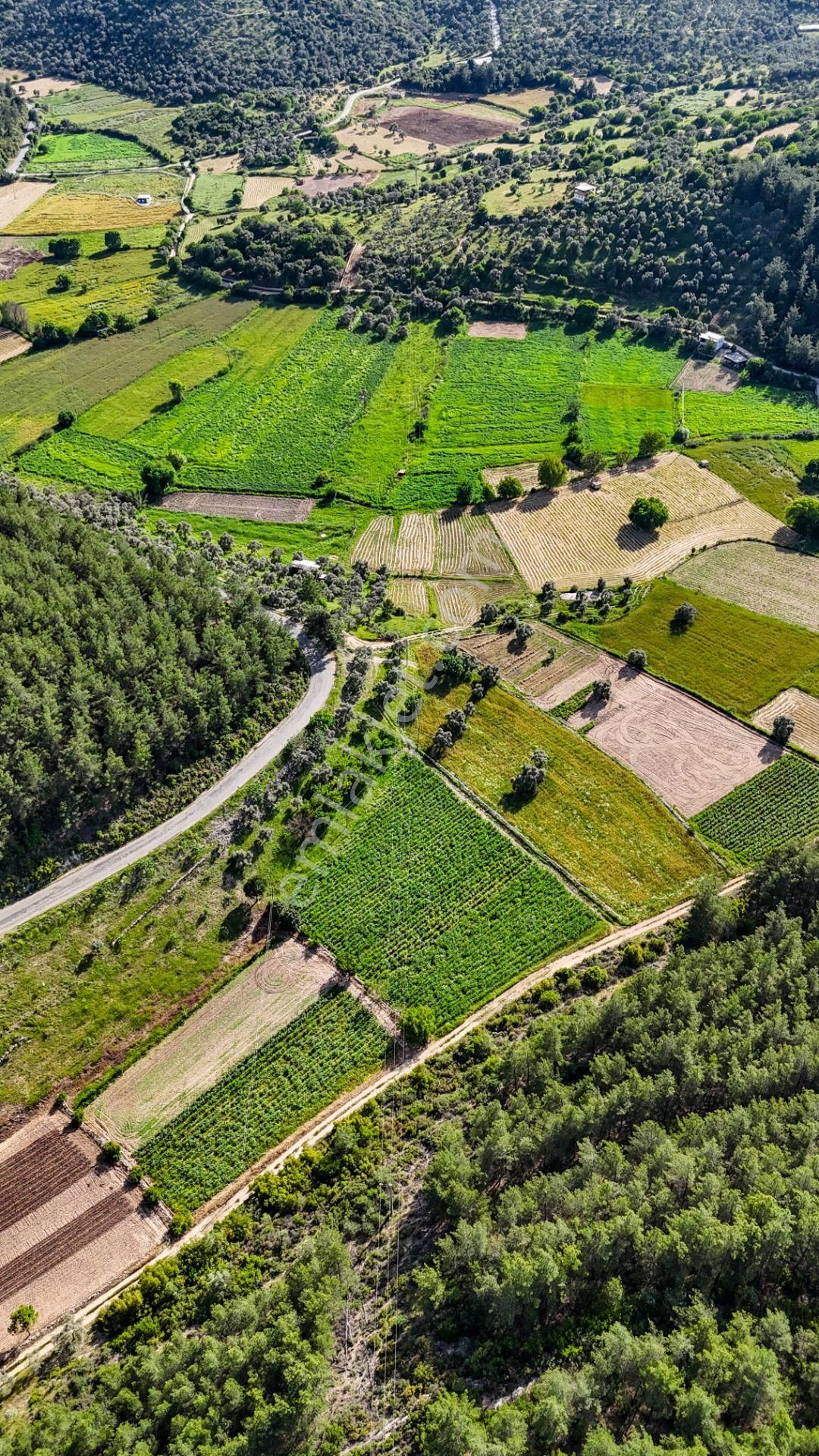 Milas Kuzyaka'da Ana Caddeye Sıfır Satılık Tarla - Görsel 15