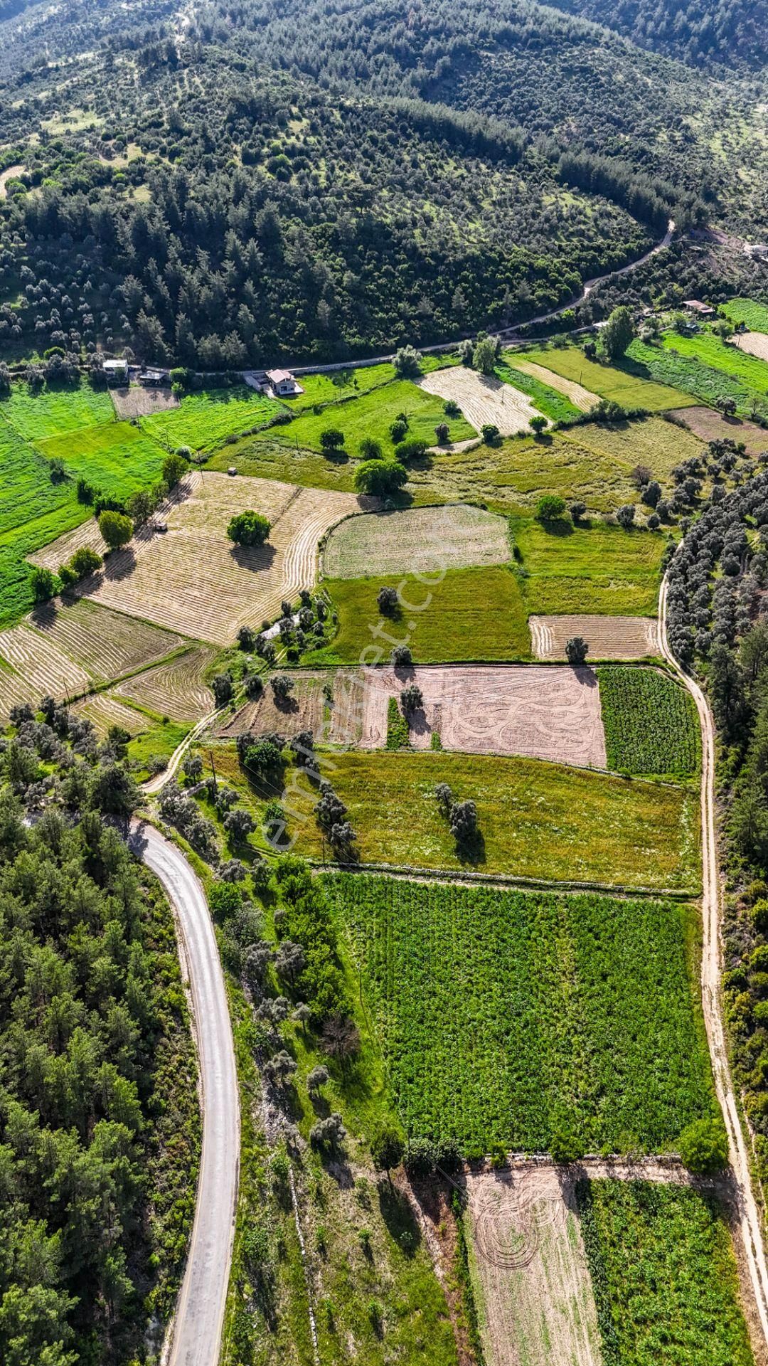Milas Kuzyaka'da Ana Caddeye Sıfır Satılık Tarla - Görsel 14