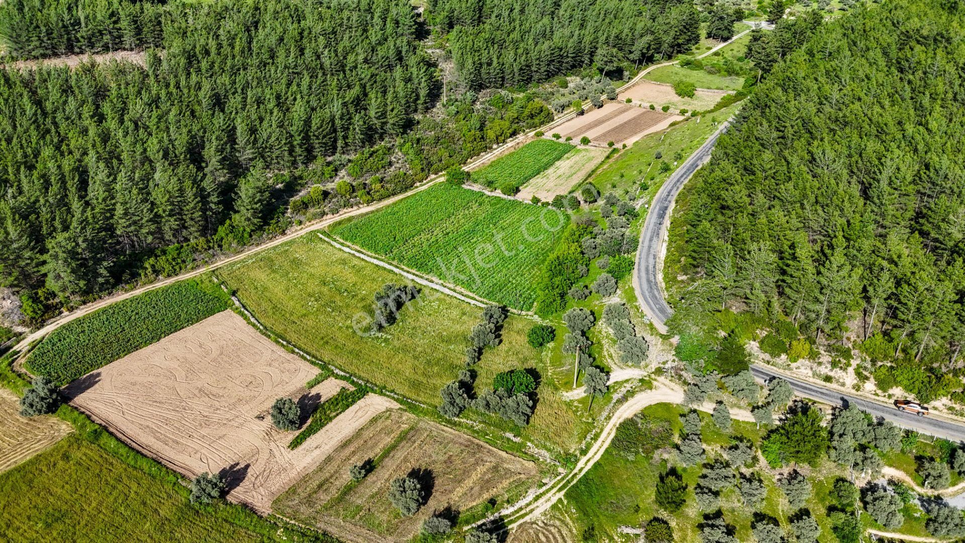 Milas Kuzyaka'da Ana Caddeye Sıfır Satılık Tarla - Görsel 7