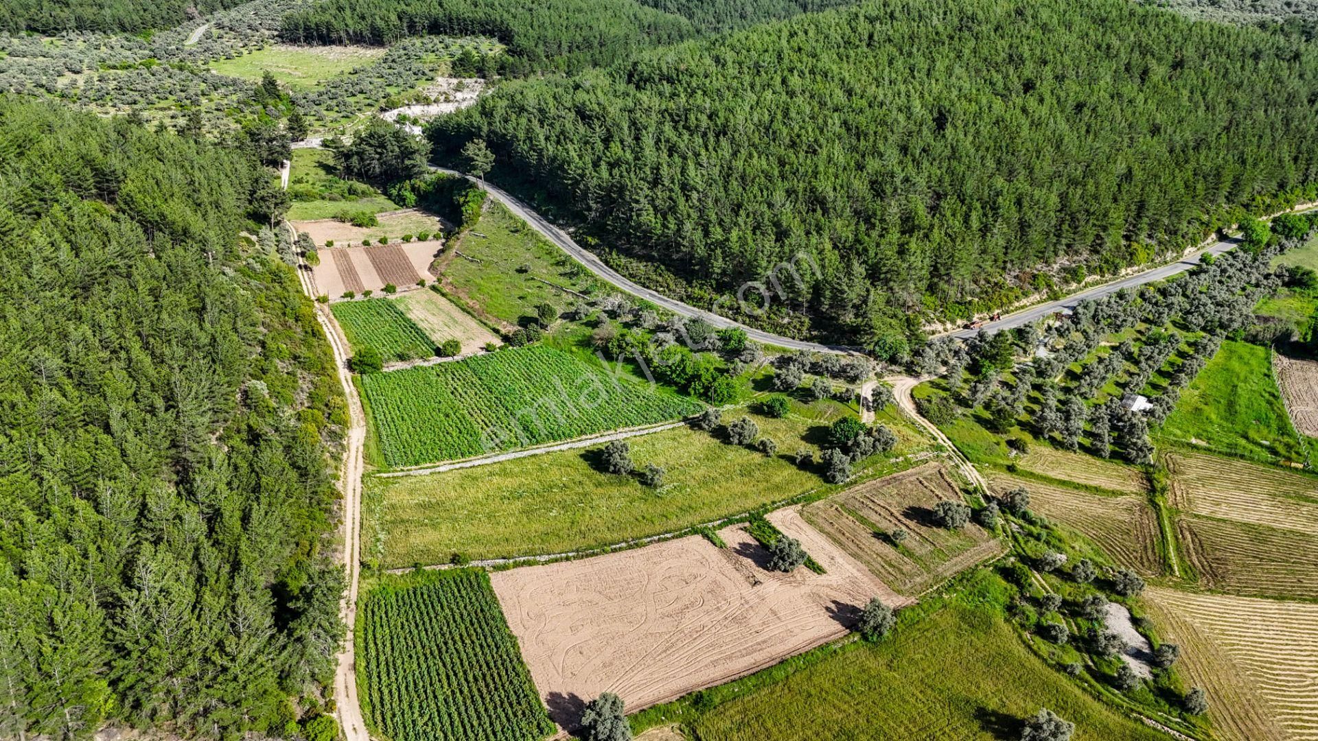 Milas Kuzyaka'da Ana Caddeye Sıfır Satılık Tarla - Görsel 10