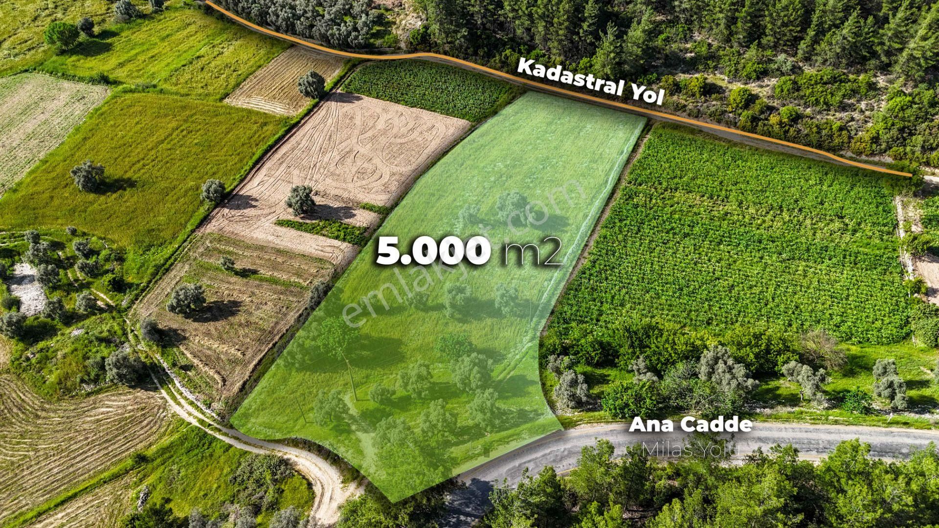 Milas Kuzyaka'da Ana Caddeye Sıfır Satılık Tarla - Görsel 2