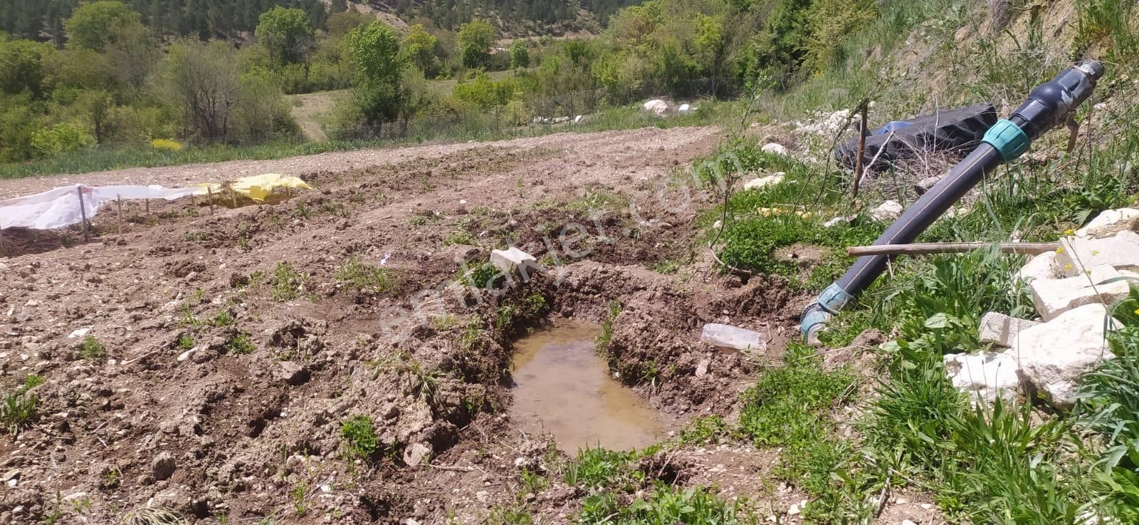 Asya Evim Emlaktan Ağlasun Kum Mah De Muhteşem Satılık Fırsat Tarla - Görsel 5