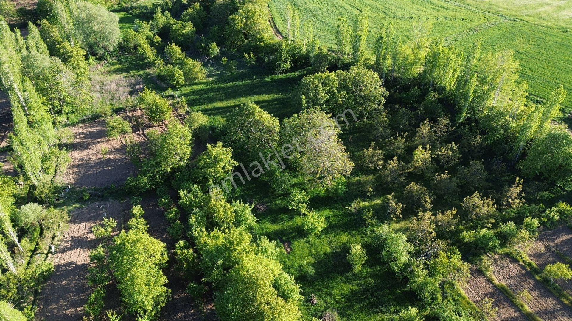 Isparta Şarkikaraağaç Fele De 875 M2 Müstakil Tapulu Bahçe