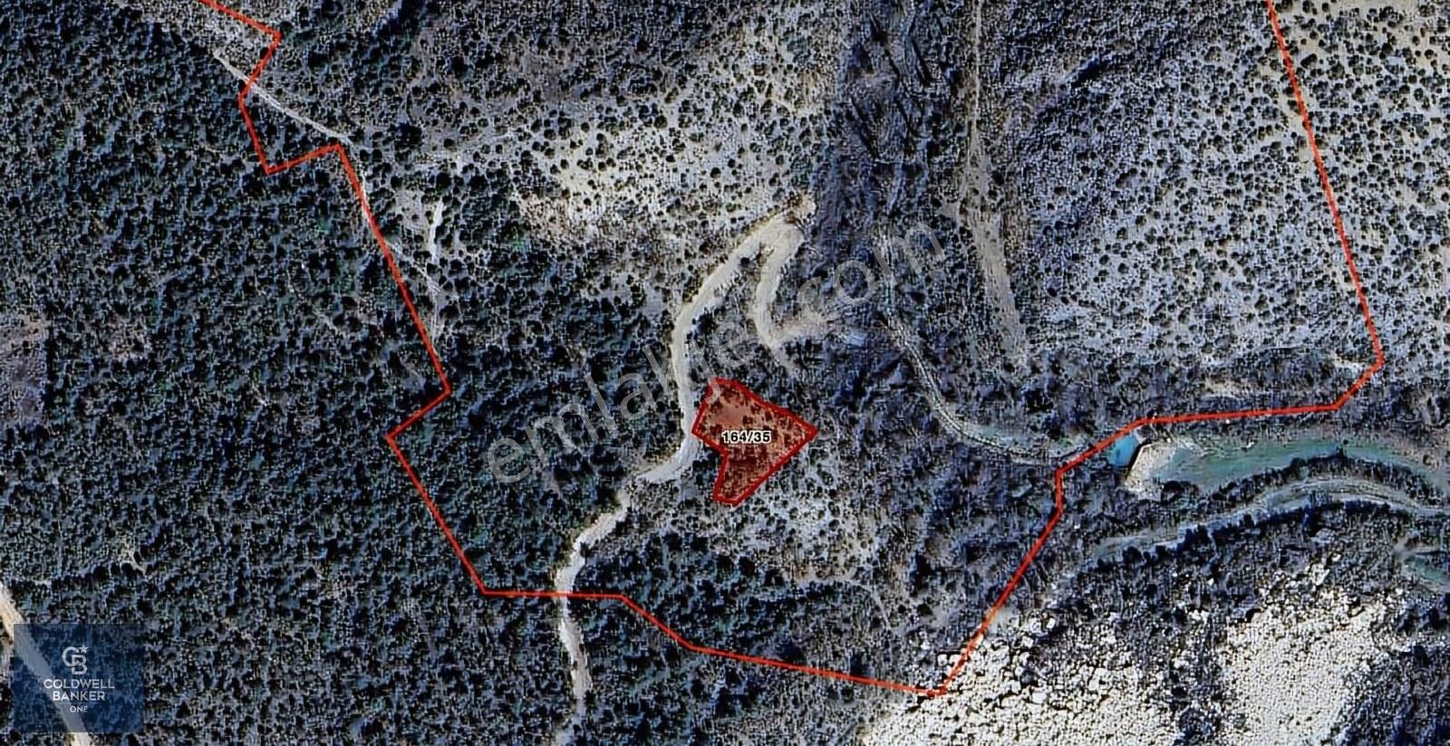 Sertan Dede'den Bilecik Taşçılar Satılık Arazi Yolu Var